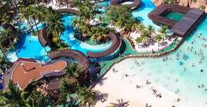 Foto: (Divulgação)