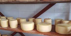 Queijaria faz grande evento na Vila Madalena