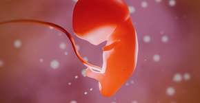 Fator na gravidez pode elevar risco de autismo no filho