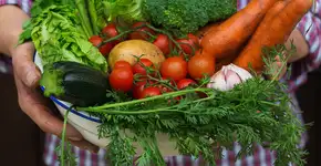 Mantenha o nível saudável de colesterol no sangue comendo estes legumes