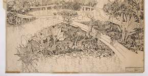 Foto: (Divulgação Cor Comunicação /  Instituto Burle Marx)