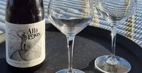 Vodka de geleiras, gin de fruto nativo e vinhos da Patagônia chegam ao Brasil na Prowine 2025