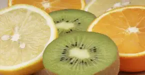 Foto: (Imagem sem texto alternativo disponivel ID [863686])