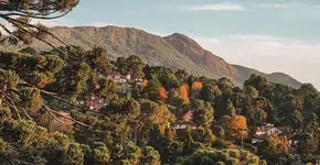 Foto: (Divulgação/MOVE)