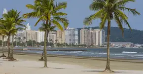 Foto: (Istock/Stefan Lambauer)