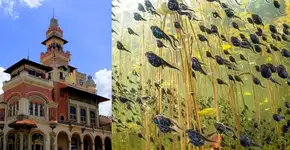 Exposição ‘Fotógrafo de Vida Selvagem do Ano’