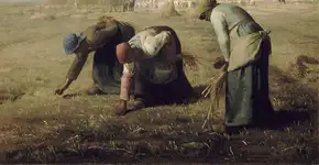 Foto: (Imagem sem texto alternativo disponivel ID [1896231])