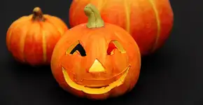 Halloween: Caça aos Doces gratuita acontece no São Bernardo Plaza Shopping