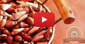 Foto: (Imagem sem texto alternativo disponivel ID [1059739])