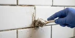 Comecei a lavar o banheiro com água e bicarbonato: a mudança não foi mística