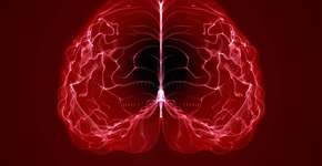 Foto: (iStock/Naeblys)