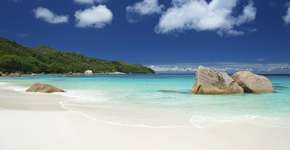 Foto: (PeskyMonkey/iStock)