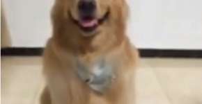 Foto: (Imagem sem texto alternativo disponivel ID [995558])