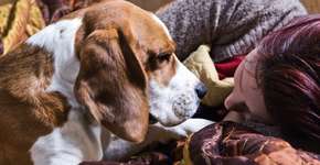 Foto: (Imagem sem texto alternativo disponivel ID [901178])