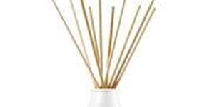 Foto: (Imagem sem texto alternativo disponivel ID [1869942])