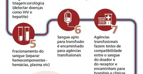 No Dia do Doador, veja como o sangue vira transfusão
