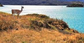 Quais os melhores lugares para ir no Chile?