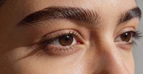 Foto: (Imagem sem texto alternativo disponivel ID [2698286])