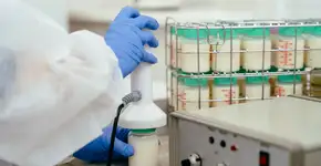 Passo a passo: como doar leite humano e salvar vidas?