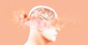 Esta fruta deliciosa pode ser a chave para uma memória mais afiada