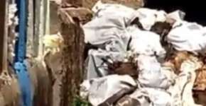 Foto: (Reprodução/Instagram)