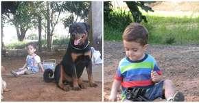 Cachorro salva-vidas é o primeiro a detectar convulsão de menino