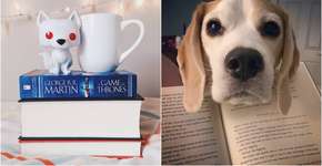 10 perfis no Instagram para quem é apaixonado por livros