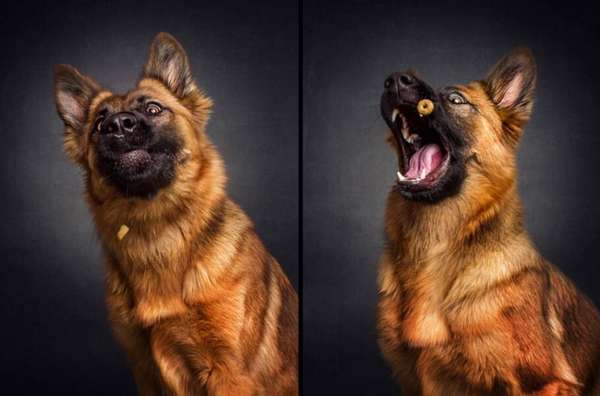 Todos as fotos por Christian Vieler / Reprodução