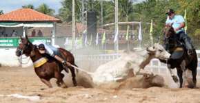 Vaquejada é reconhecida como patrimônio cultural pelo Senado