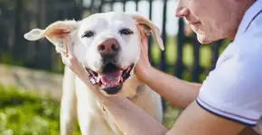 Foto: (Chalabala/DepositPhotos)