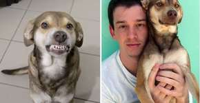 Dono de Ninão comunica morte do amigo em homenagem comovente