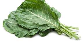 Os poderes das folhas de escuras