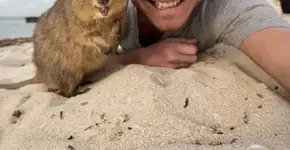 Foto: (Imagem sem texto alternativo disponivel ID [1009281])