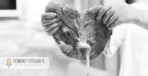 Foto: (Imagem sem texto alternativo disponivel ID [1613921])