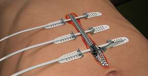 Foto: (Imagem sem texto alternativo disponivel ID [1830577])