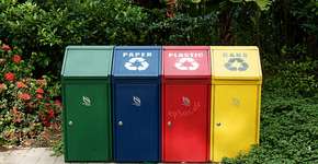 Rota da Reciclagem: Site indica pontos de coleta seletiva mais próximos de você