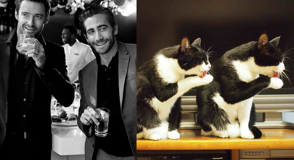 O blog é atualizado com postagens todos os dias (Imagem: Reprodução/Tumblr)