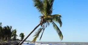 Foto: (Getty Images/iStockphoto)