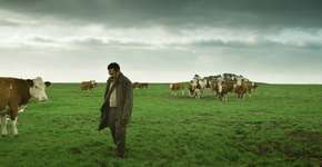 49ª Mostra Internacional de Cinema em São Paulo