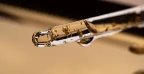 Uma gota deste óleo essencial elimina cheiros ruins da casa em minutos