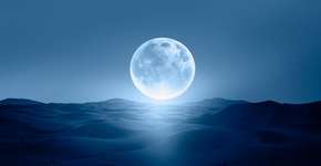 Foto: (Imagem sem texto alternativo disponivel ID [2721066])