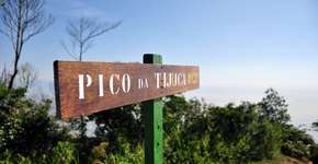 Conheça os trajetos das trilhas da Floresta da Tijuca