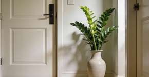 Foto: (Imagem sem texto alternativo disponivel ID [2695025])