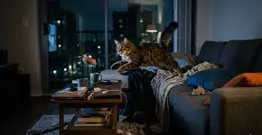 Foto: (Imagem gerada por IA/Gemini)