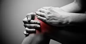 Foto: (Imagem sem texto alternativo disponivel ID [2404749])