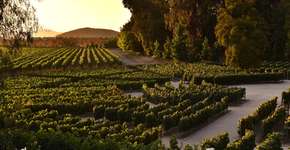 Foto: (Divulgação)