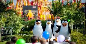 Foto: (Divulgação)