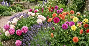 Foto: (Imagem sem texto alternativo disponivel ID [2769699])