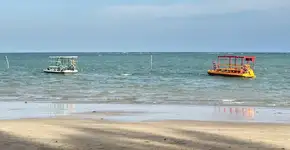 Qual praia de São Miguel dos Milagres é perfeita pra você? Faça o teste!