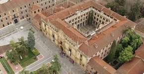 Foto: (Divulgação)